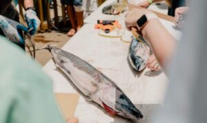 Fish Cleaning