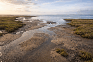 low tide