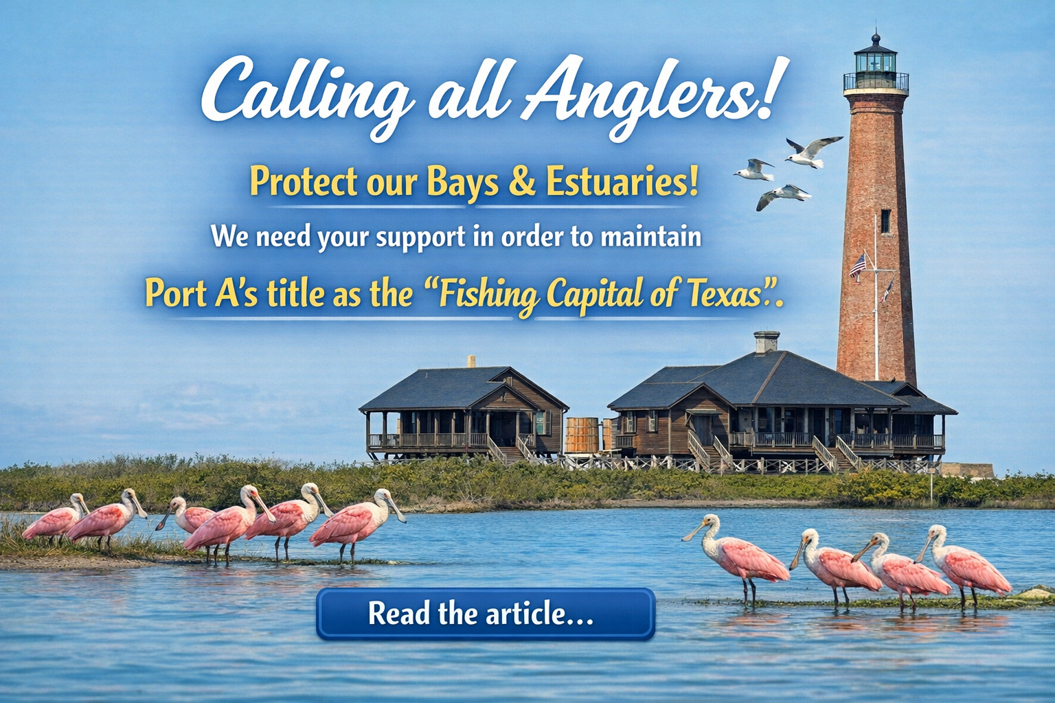 estuaries article ad