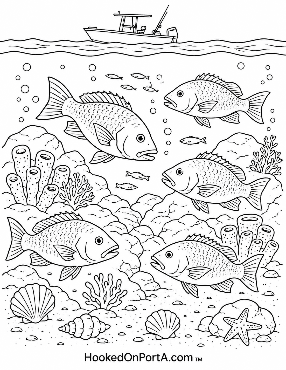 Snapper at th Reef