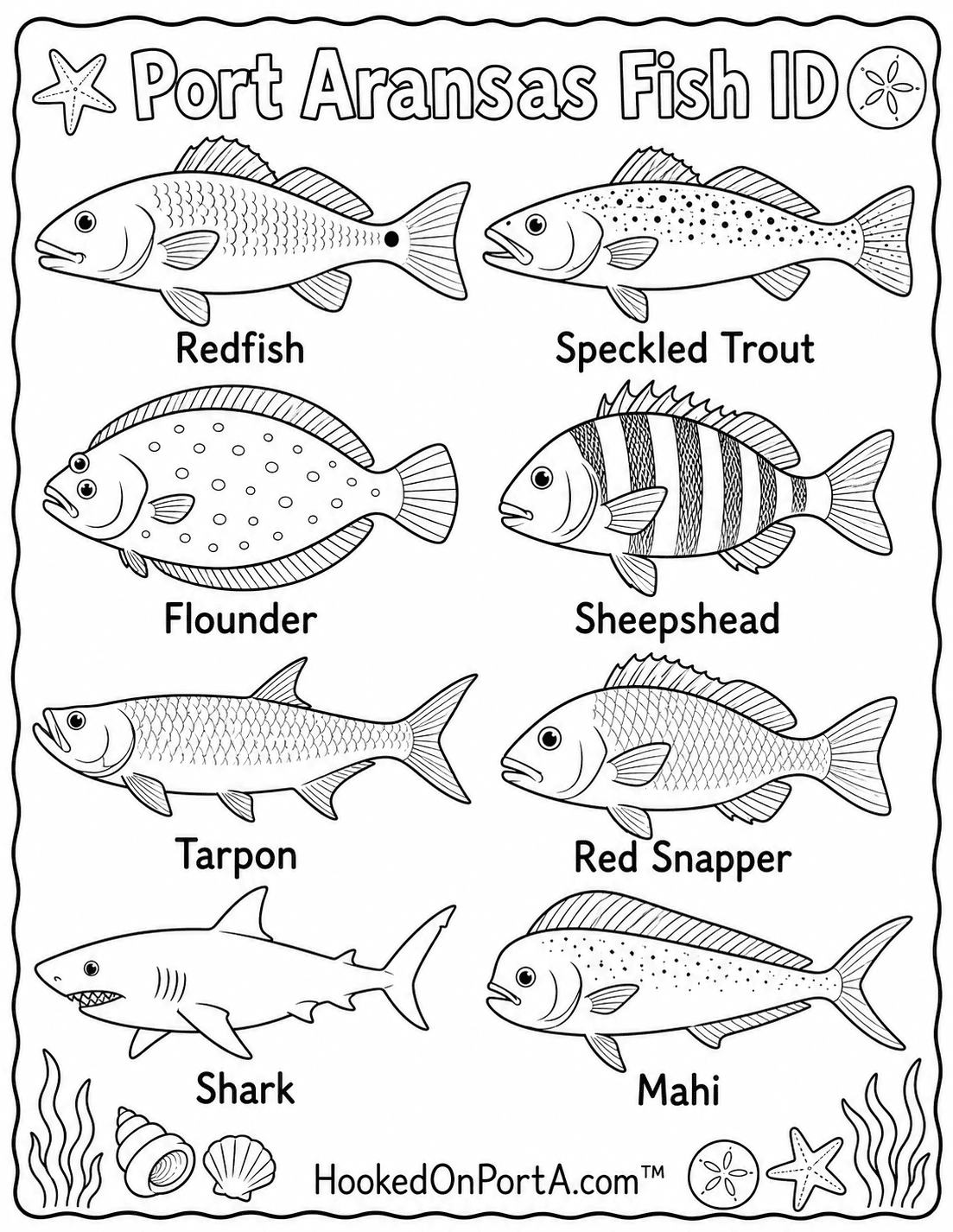 Saltwater Species ID Card