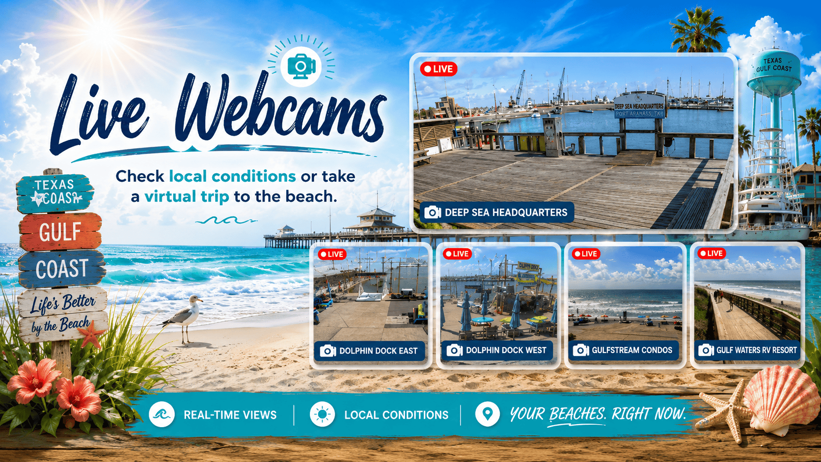 HOPA-Webcam-Grid-ad-16x9